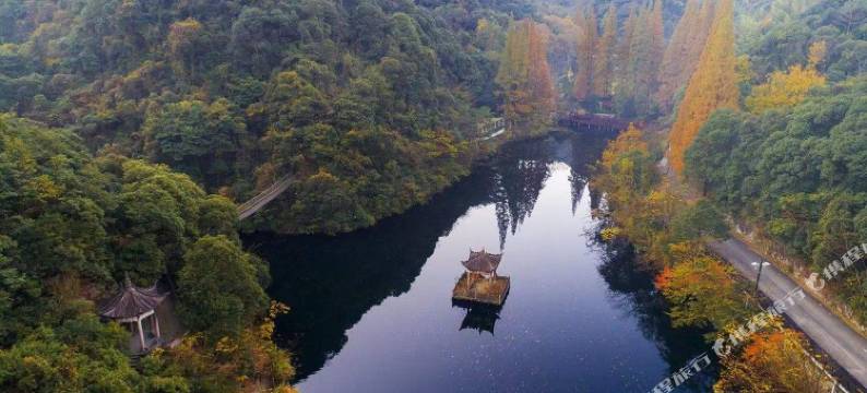 宁海隐于市民宿图片