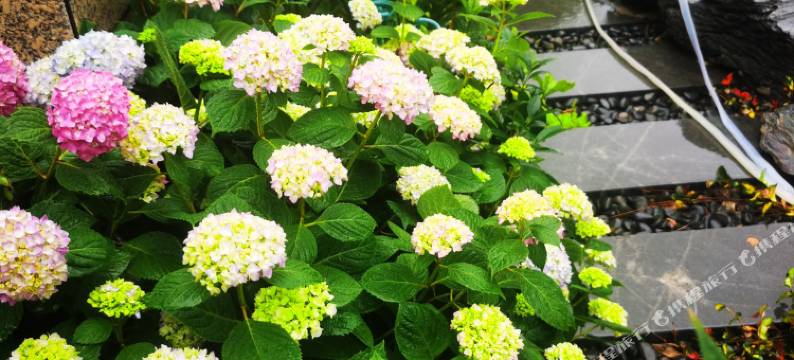 栖间堂度假民宿(扬州瘦西湖店)图片