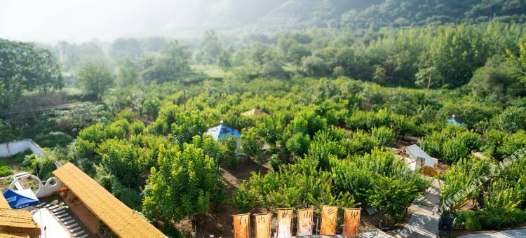 屿山露营酒店(华山景区店)图片