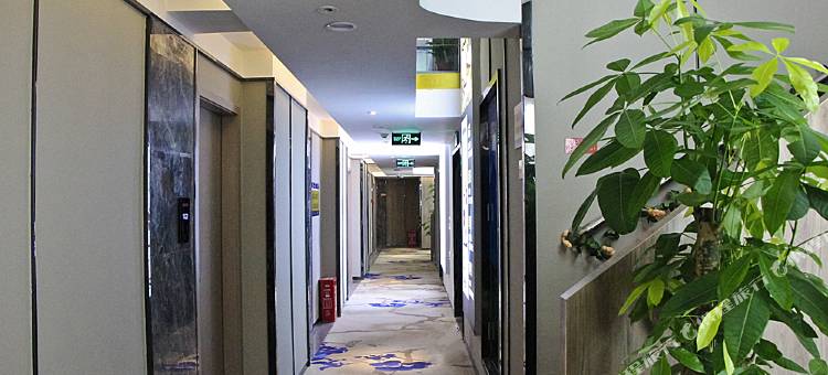 金栖酒店(泸州江阳万诚国际中心店)图片