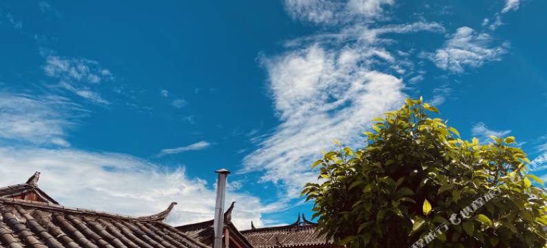 自由驿客栈(丽江古城店)图片