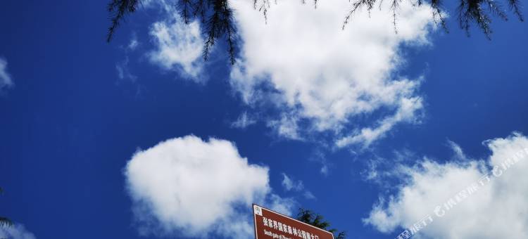 张家界云秀客栈(森林公园店)图片