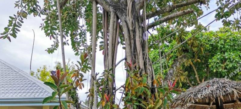 阿尔蒙特内陆度假村(Almont Inland Resort)图片