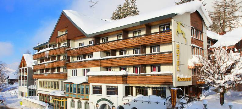 赫斯臣维尔德豪斯酒店(Hotel Hirschen Wildhaus)图片