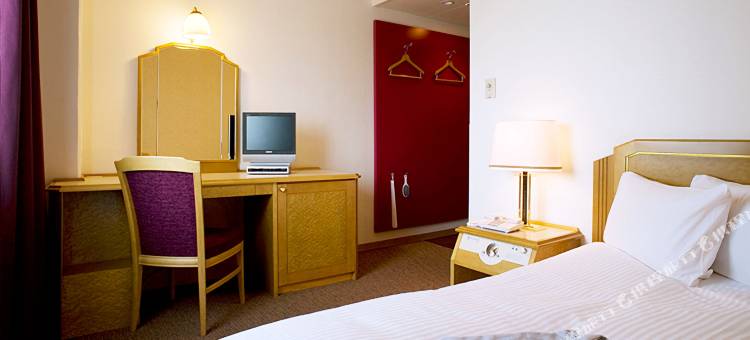 日航国际酒店(Hotel Nikko Narita)图片