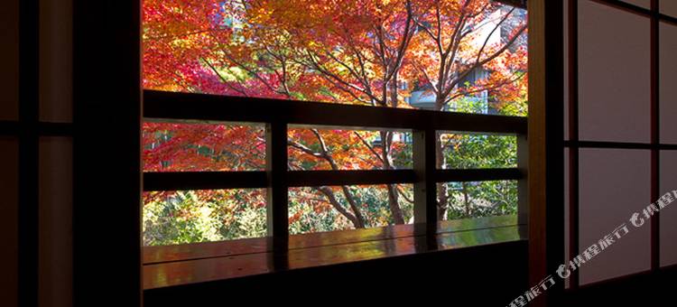 黑川温泉易阔旅馆(Ikoi Ryokan)图片