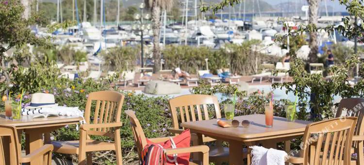 Phi Hotel Sighientu图片