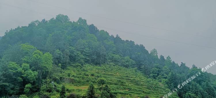 咸丰凯莱精品酒店(楚蜀大道店)图片