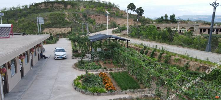 延川房晓虎农家院图片