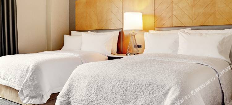 布鲁克林市中心希尔顿欢朋酒店(Hampton Inn Brooklyn Downtown)图片