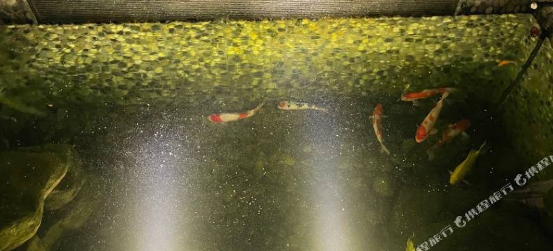 云和梯田云境山苑民宿图片