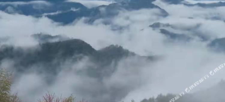 磐安磐山云隐民宿·云栖图片