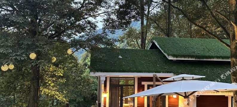 源山雅院·森林静逸民宿(雅安上里店)图片