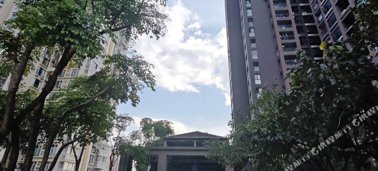 阿喵家女生民宿(南山地铁站店)图片
