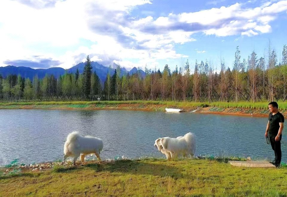 Yuanxiang Lijiang HostelHotel Overview