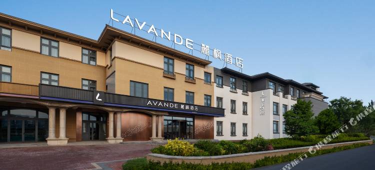 麗枫酒店(北京野生动物园大兴机场店)图片