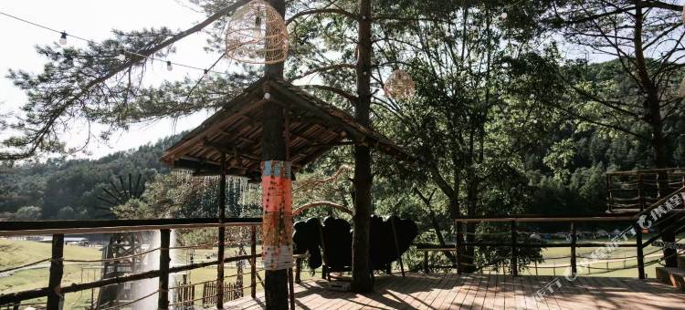 伊春山己森林营地图片
