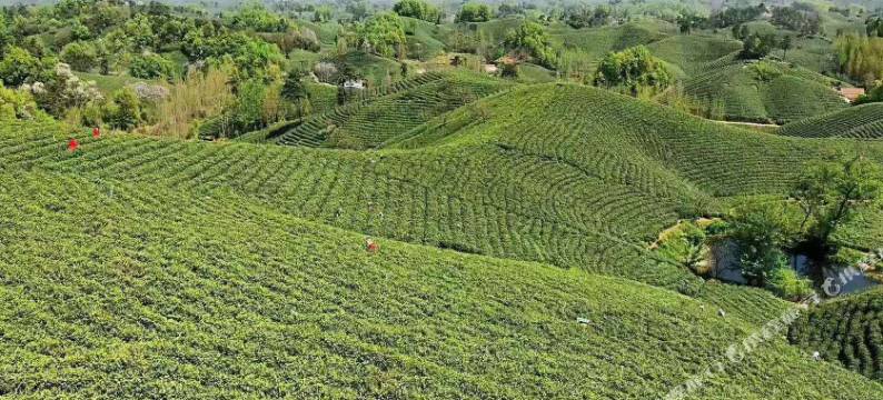 信阳朱家大院图片