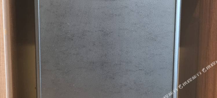 明洞斯坦福酒店(Stanford Hotel Myeongdong)图片