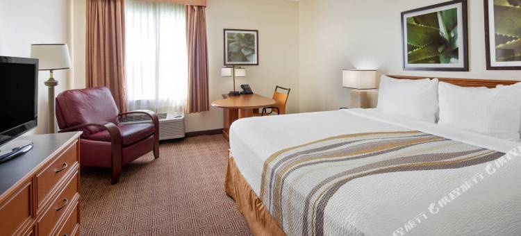 黎明城索格拉斯米尔斯拉昆塔温德姆套房酒店(La Quinta Inn & Suites by Wyndham Sawgrass)图片