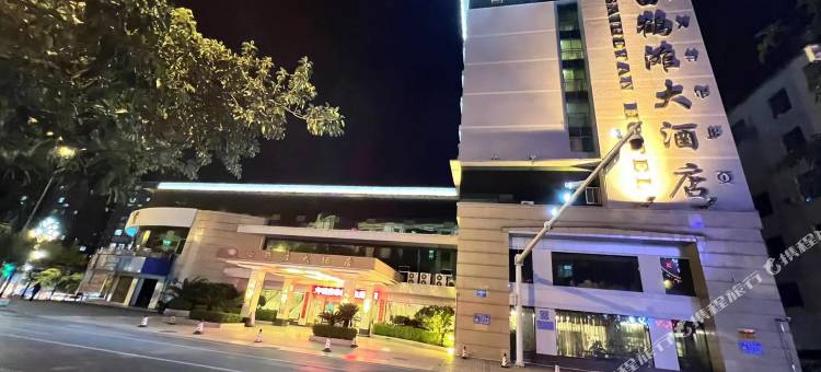 宁南白鹤滩大酒店图片