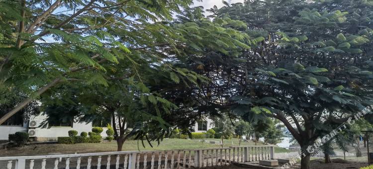 太特城市花园酒店(TETE City Garden Hotel)图片
