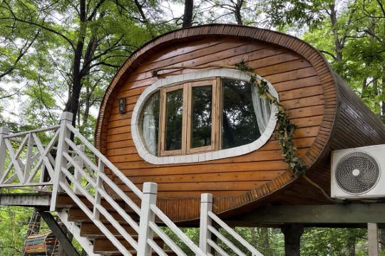 宜君伴山树屋民宿预订价格,联系电话位置地址【携程酒店】