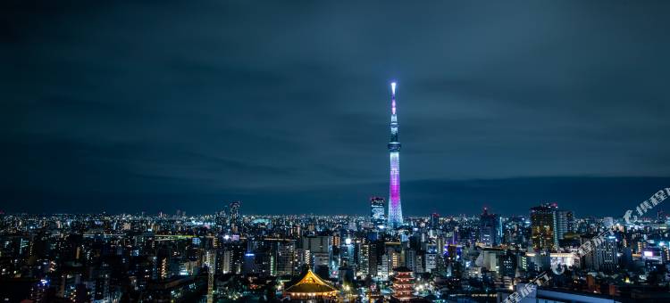 东京浅草豪景酒店(Asakusa View Hotel)图片