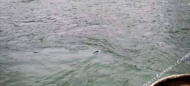 易县幽静小院民宿(太行水镇店)图片