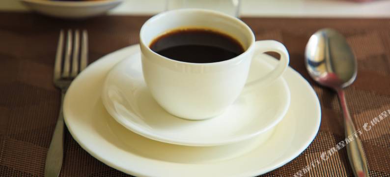 钻石塔什干酒店(Diamond Hotel Tashkent)图片