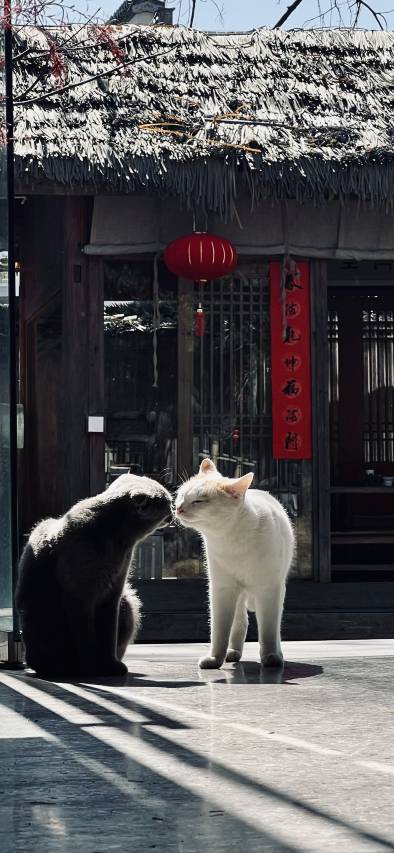 旧街墨野·徽墨非遗守艺民宿图片