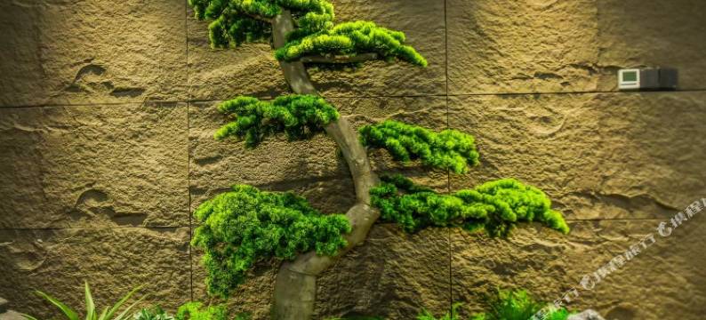 洛都酒店(洛阳解放路地铁站王城公园店)图片