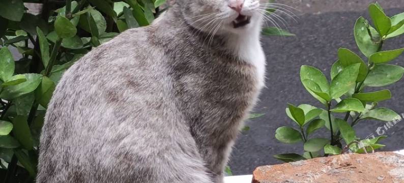 有间小筑民宿(王城公园店)图片