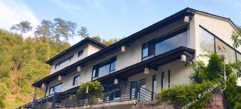 新昌马放澜山民宿图片