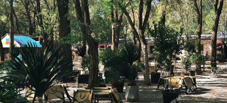 鹿先森 · Lu Xian Sen湿地生态园酒店图片