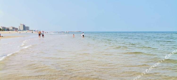 龙口枫林晚主题宾馆图片