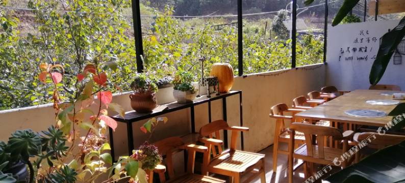 樱花里客栈(青岛南北岭村店)图片