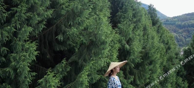 安之若宿客栈(腾冲和顺店)图片