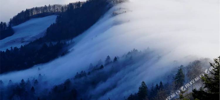 武冈璞云酒店图片