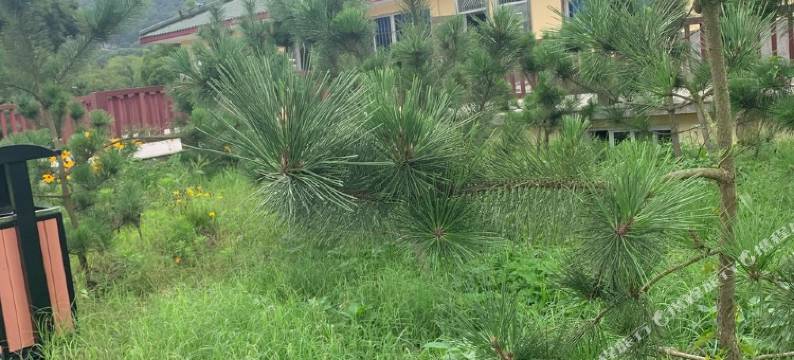 舟山普陀山普济小院(西山二区店)图片