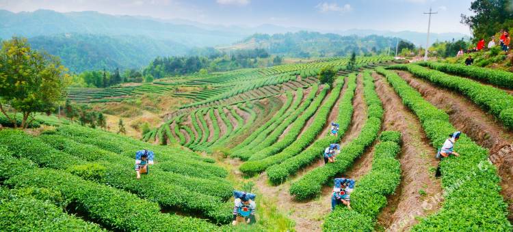 独山凡间民宿图片