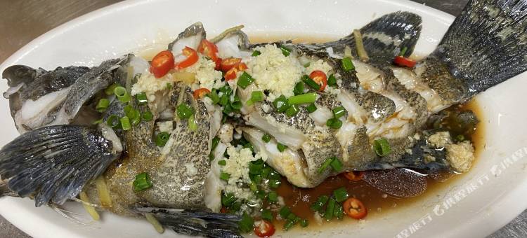 普陀山静雅客栈(普济寺店)图片