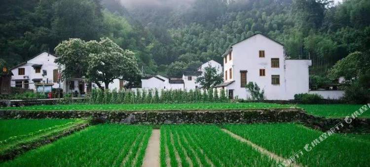 景宁山语间民宿图片