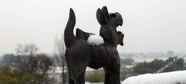 歙县韬庐精舍徽文化精品民宿图片