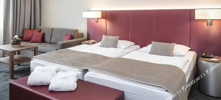 欧洲萨尔茨堡奥地利流行酒店(Austria Trend Hotel Europa Salzburg)图片