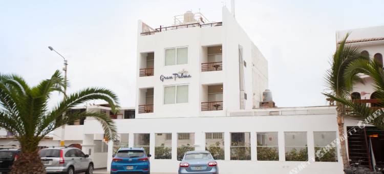 格兰帕尔马酒店-帕拉卡斯(Hotel Gran Palma Paracas)图片