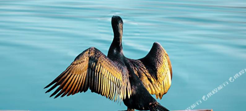 温州梦园客栈图片