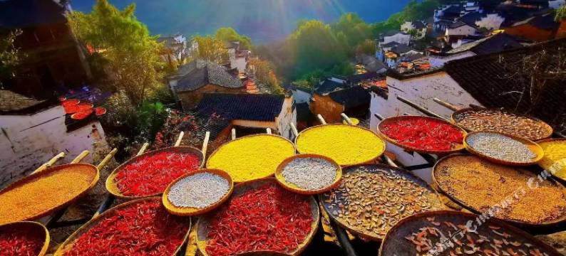 婺源舒雅客栈图片