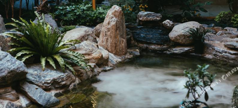 抚仙湖归秐精品民宿图片