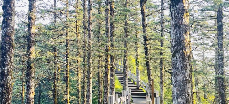 西岭雪山首峰别苑图片